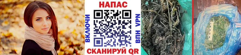 Бошки Шишки планчик  Купить закладки  Облучье 